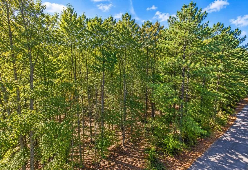 0.25-Acre Wooded Lot for Sale in Rankin County, MS