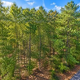0.25-Acre Wooded Lot for Sale in Rankin County, MS