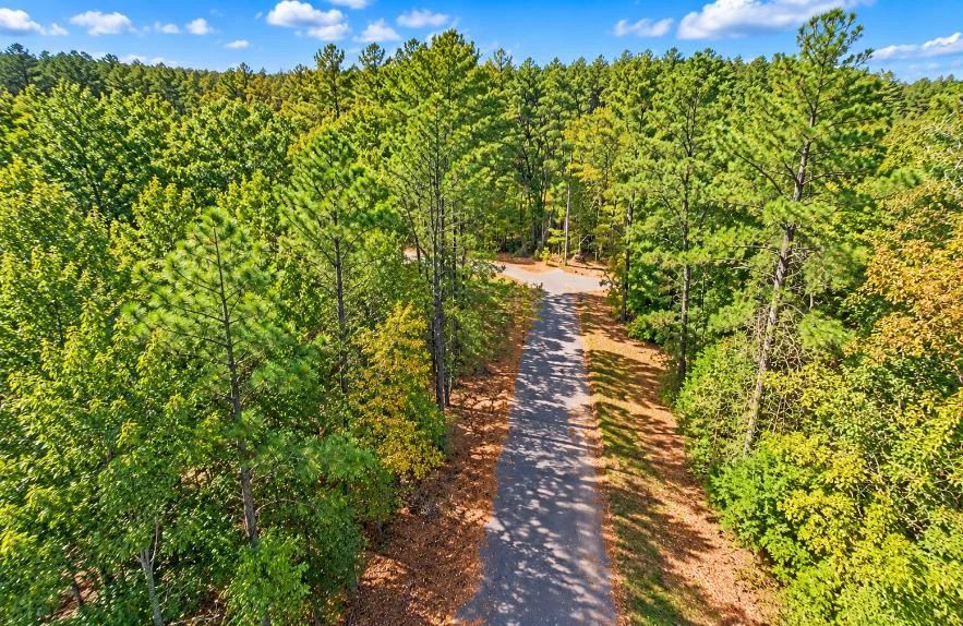 Decorative background for 0.25-Acre Wooded Lot for Sale image 5