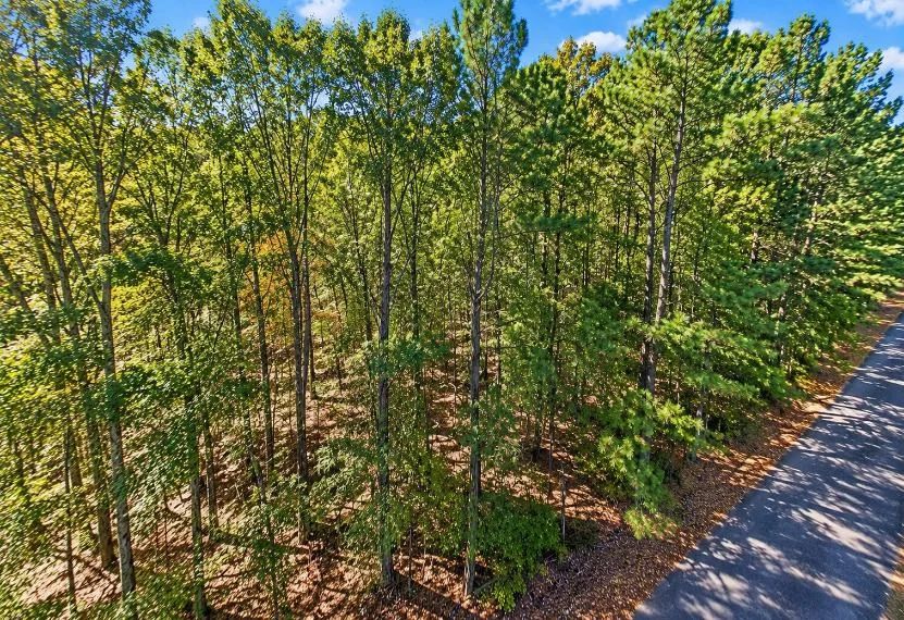 Decorative background for 0.25-Acre Wooded Lot for Sale image 8