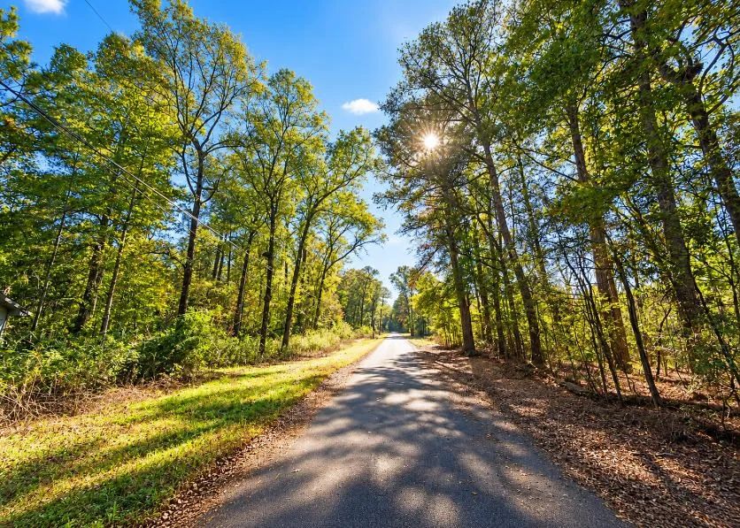 Decorative background for 0.25-Acre Wooded Lot for Sale image 9