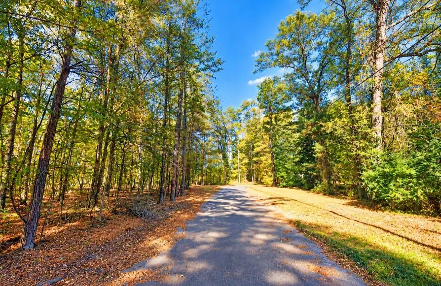 Decorative background for 0.25-Acre Wooded Lot for Sale image 10