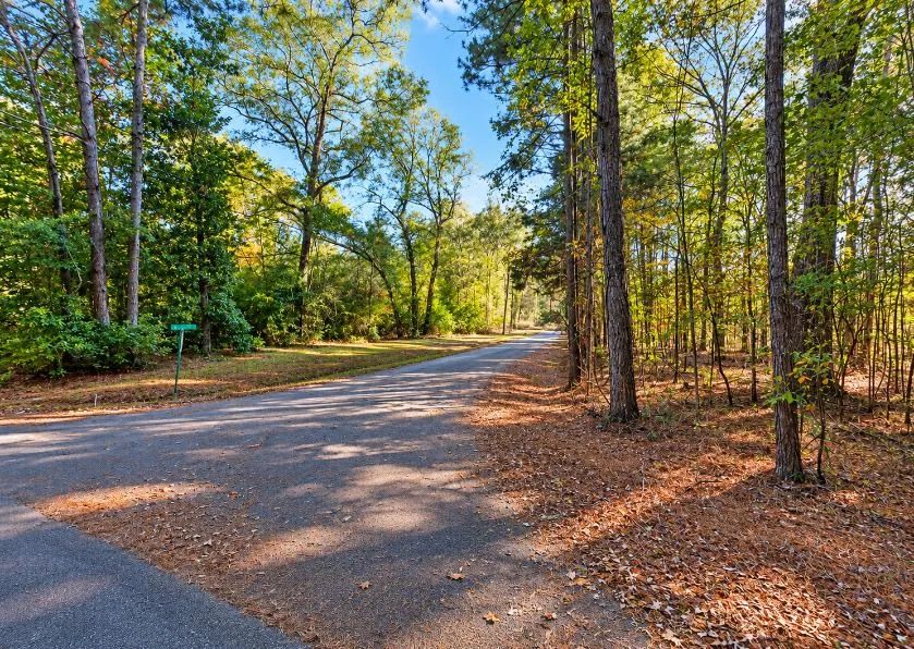 Decorative background for 0.25-Acre Wooded Lot for Sale image 11