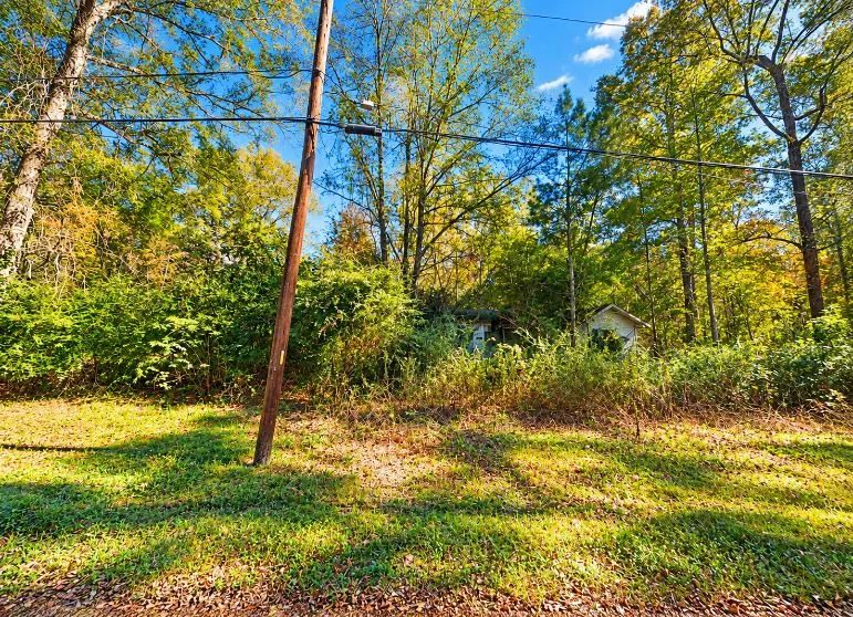 Decorative background for 0.25-Acre Wooded Lot for Sale image 12