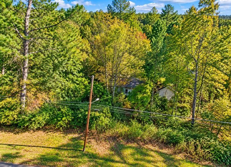Decorative background for 0.25-Acre Wooded Lot for Sale image 14