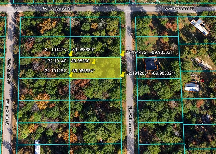 Decorative background for 0.25-Acre Wooded Lot for Sale image 15