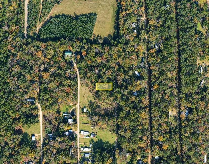 Decorative background for 0.25-Acre Wooded Lot for Sale image 17