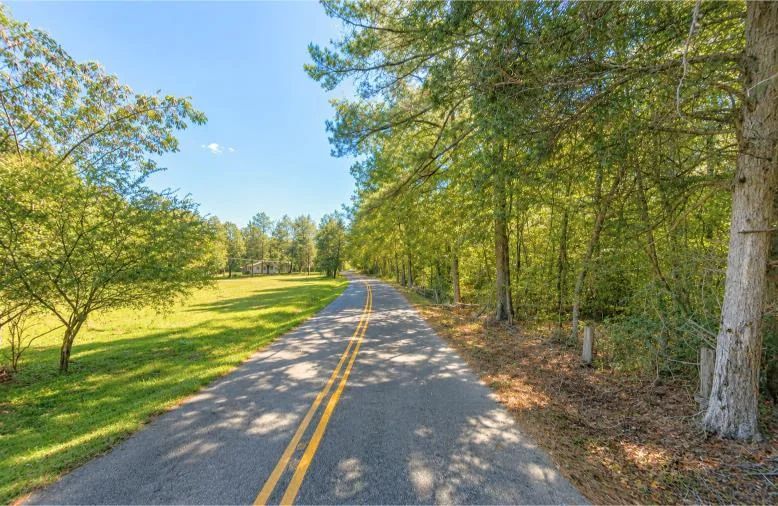 Decorative background for 0.80-Acre Lot in in Mulga, AL image 5