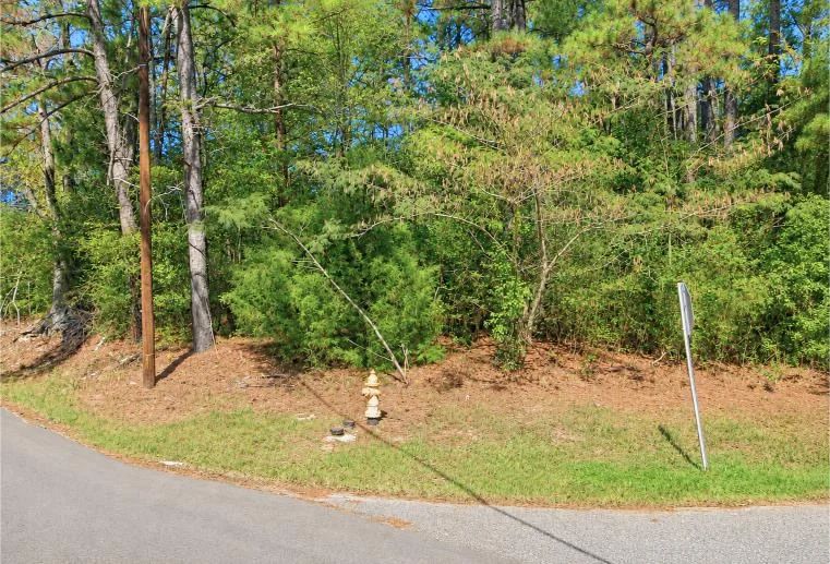 Decorative background for 0.80-Acre Lot in in Mulga, AL image 6