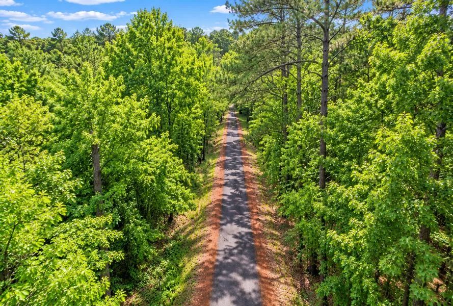Wooded 0.28-Acre Land for Sale - Main image