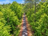 Wooded 0.28-Acre Land for Sale