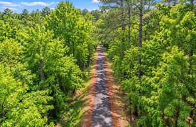 Wooded 0.28-Acre Land for Sale