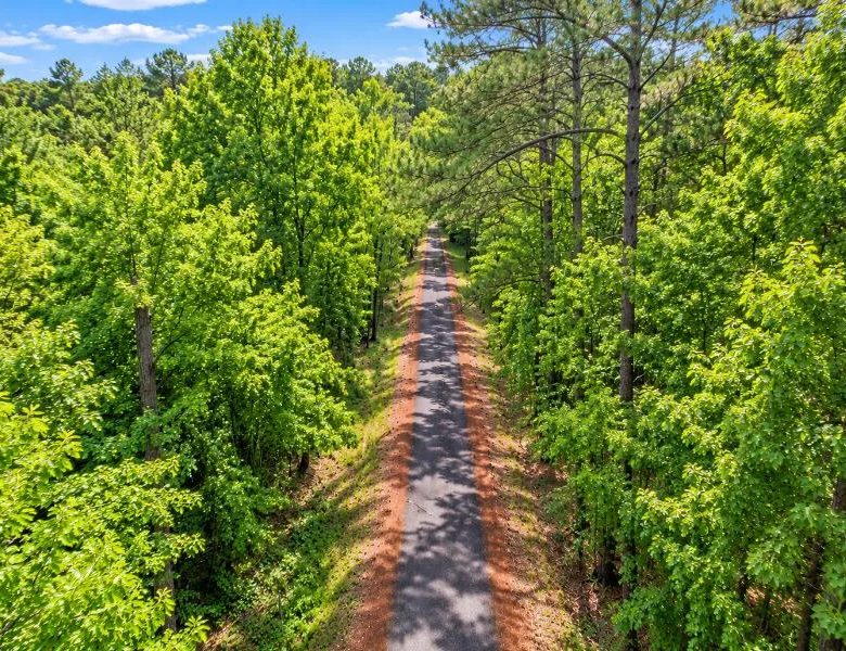 Wooded 0.28-Acre Land for Sale in Rankin County, MS