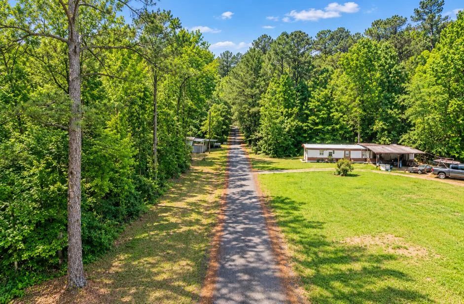 Wooded 0.28-Acre Land for Sale - Image 2