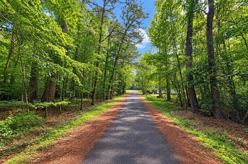 Decorative background for Wooded 0.28-Acre Land for Sale image 5