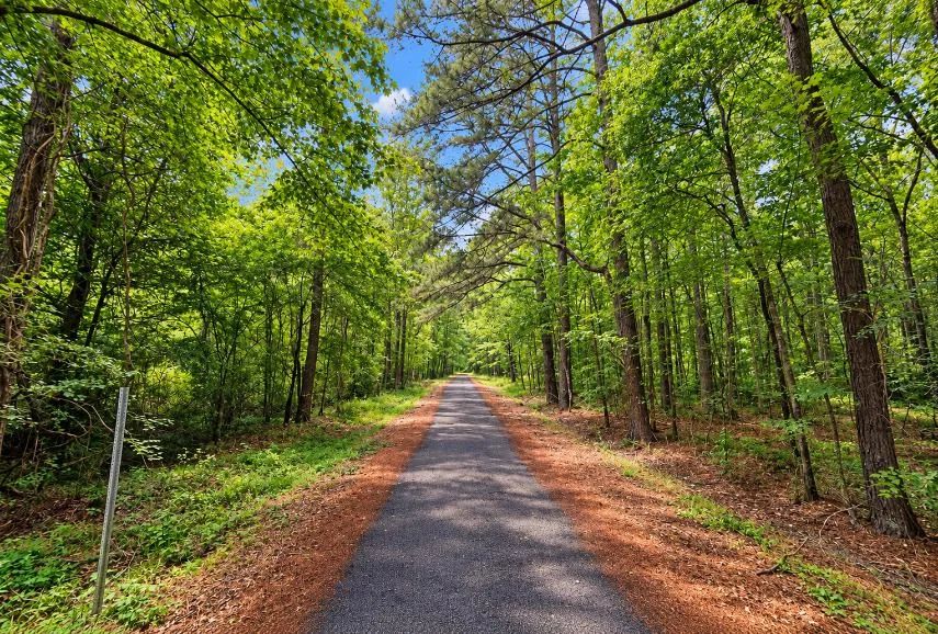 Decorative background for Wooded 0.28-Acre Land for Sale image 7