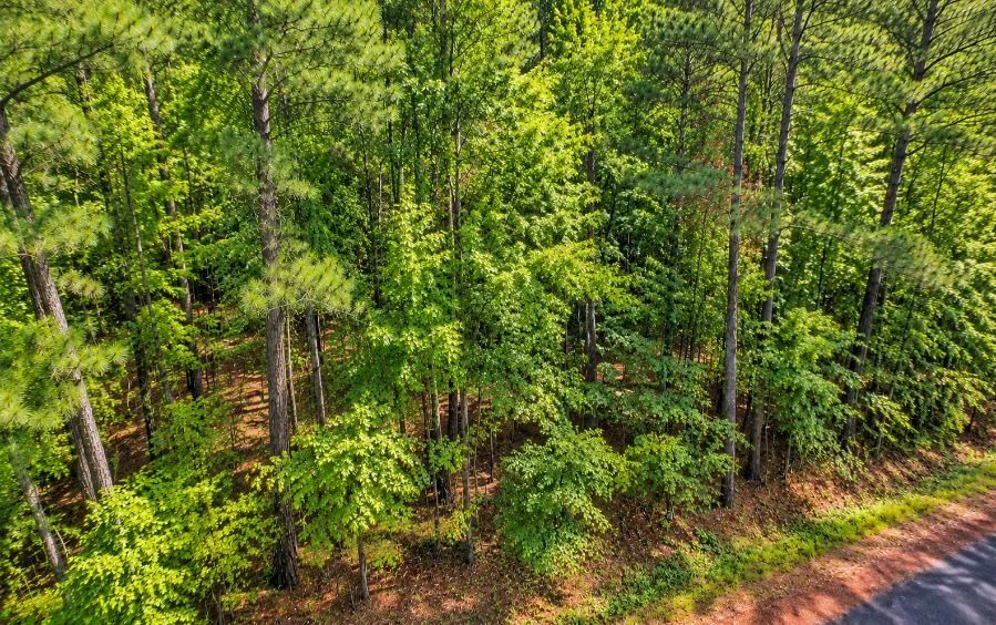 Decorative background for Wooded 0.28-Acre Land for Sale image 8