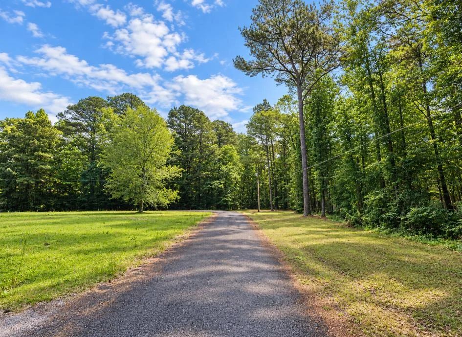 Decorative background for Wooded 0.28-Acre Land for Sale image 9