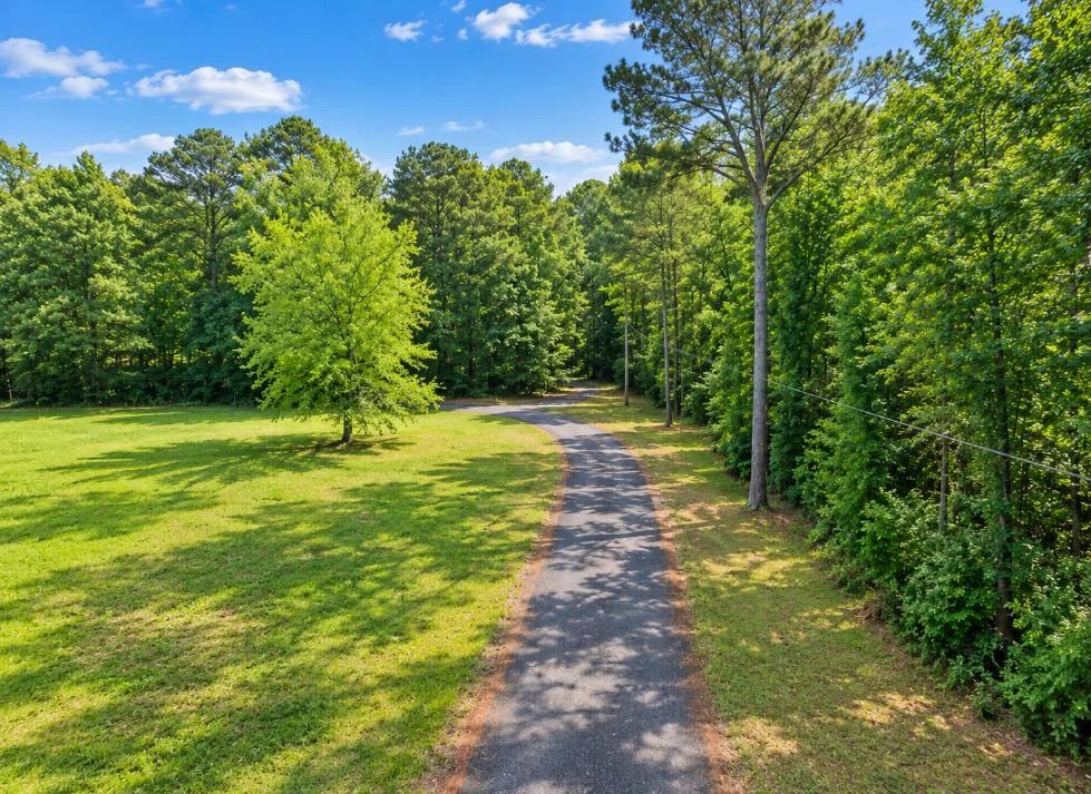Decorative background for Wooded 0.28-Acre Land for Sale image 10