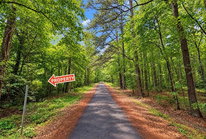 Decorative background for Wooded 0.28-Acre Land for Sale image 12