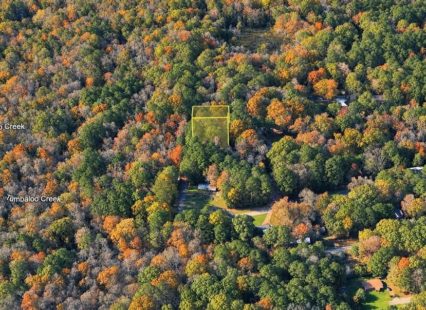 Decorative background for Wooded 0.28-Acre Land for Sale image 13