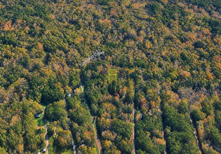 Decorative background for Wooded 0.28-Acre Land for Sale image 14