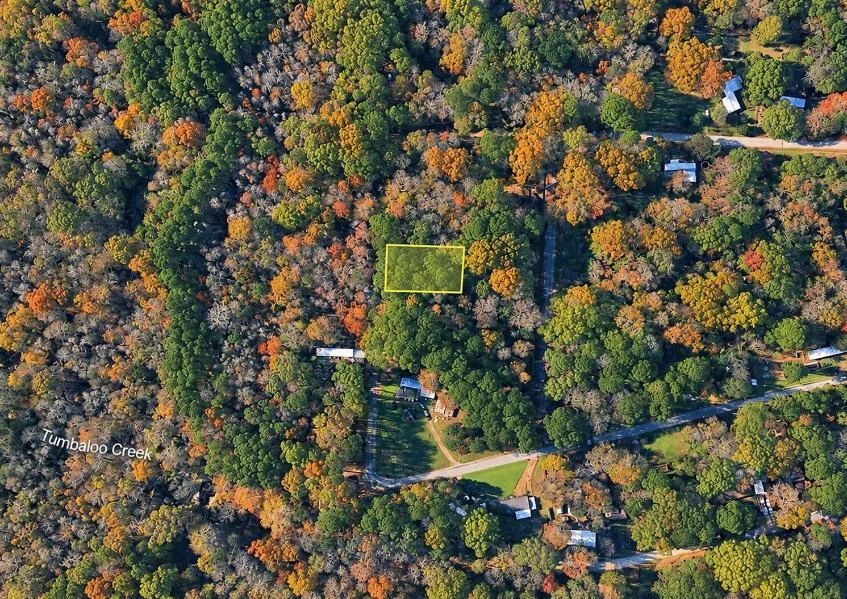 Decorative background for Wooded 0.28-Acre Land for Sale image 15