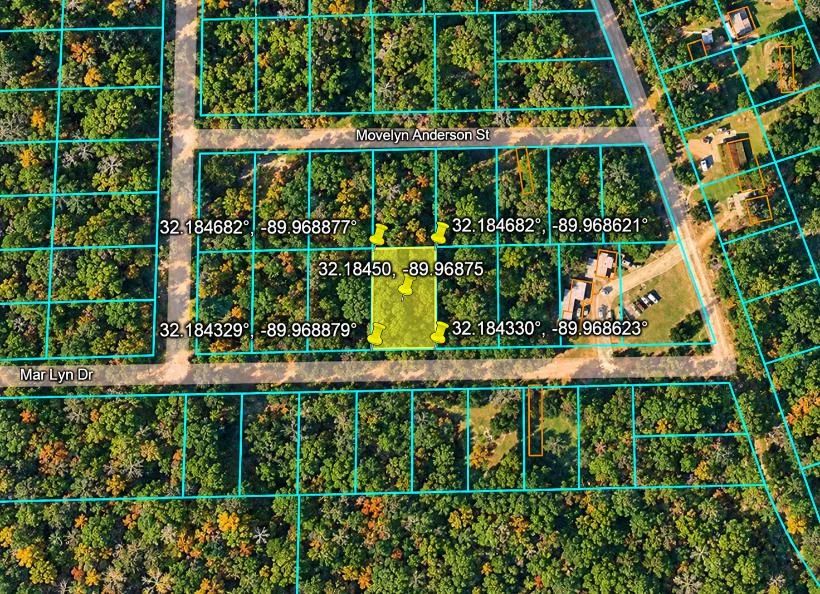 Decorative background for Wooded 0.28-Acre Land for Sale image 16