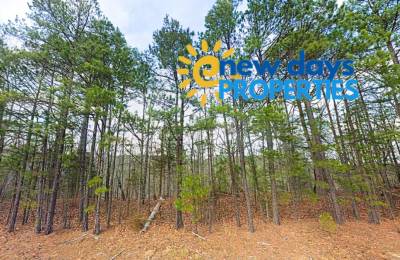 0.23 Acres Mountain and Lake View for Sale Fairfield Bay, AR