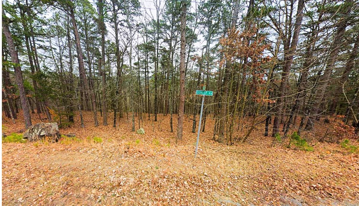 0.28-Acre Lot in a Prime Location in Fairfield Bay, AR - Image 2