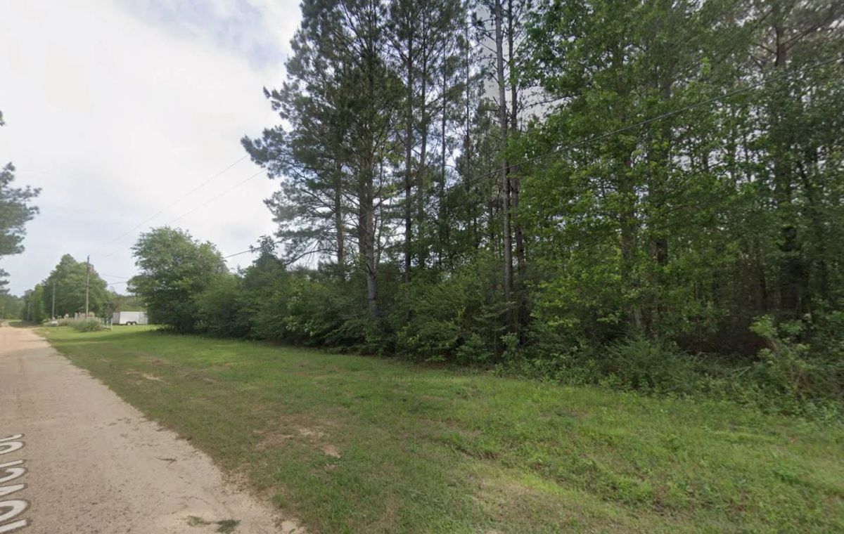 0.26-Acre Lot Near Happiness Lake! - Image 3