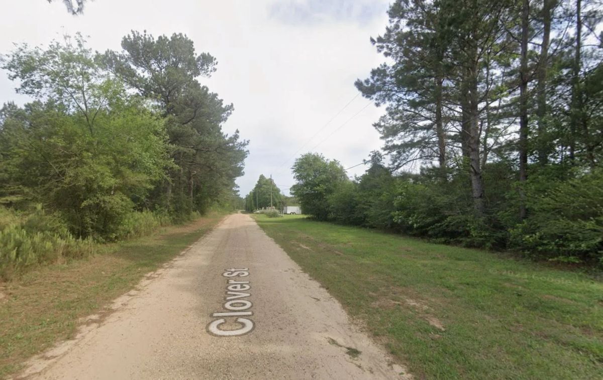 0.26-Acre Lot Near Happiness Lake! - Image 4