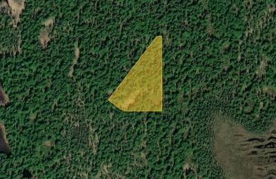 Close to Derf Lake and Susitna River