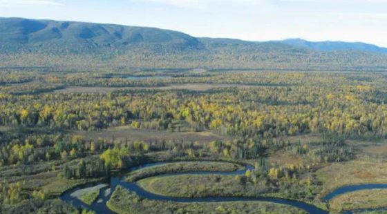 Close to Derf Lake and Susitna River in Matanuska-Susitna County, AK