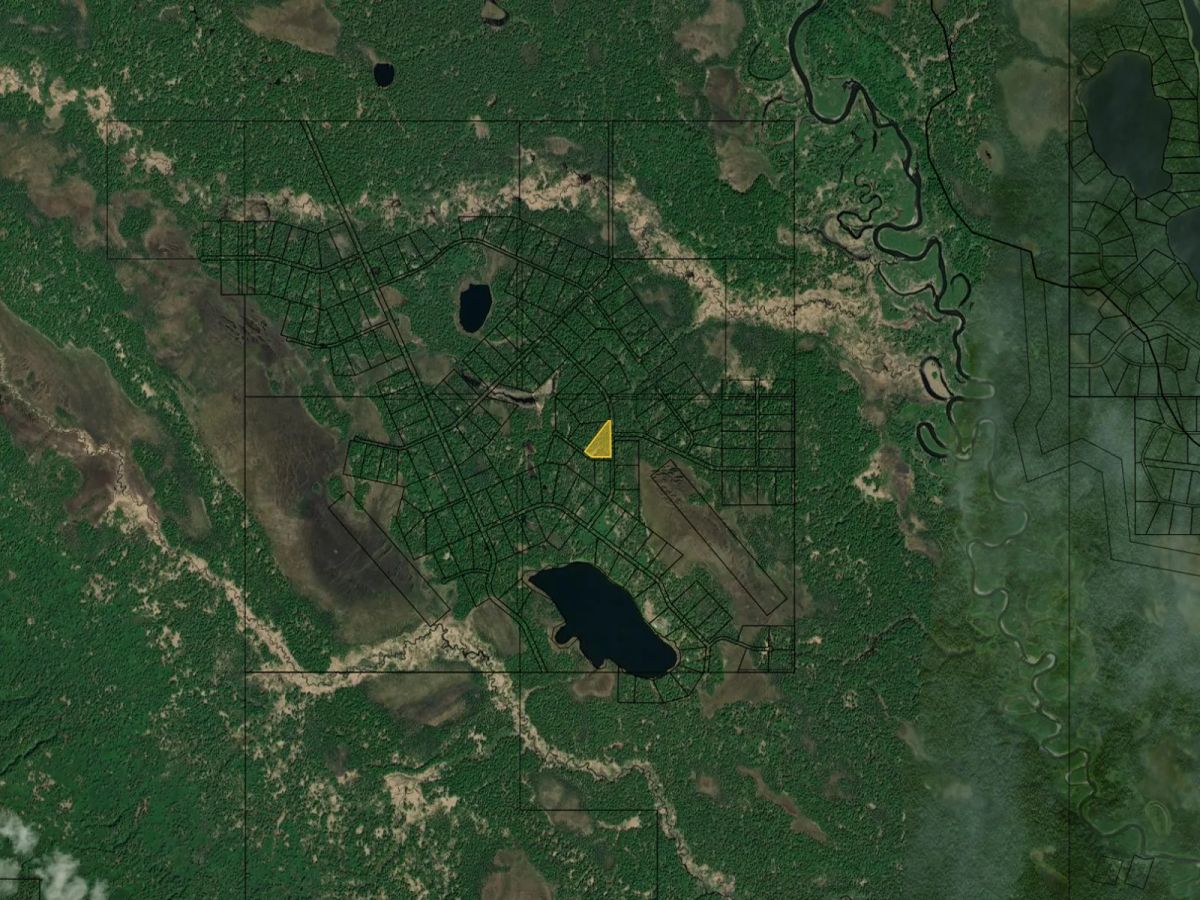 Decorative background for Close to Derf Lake and Susitna River image 11