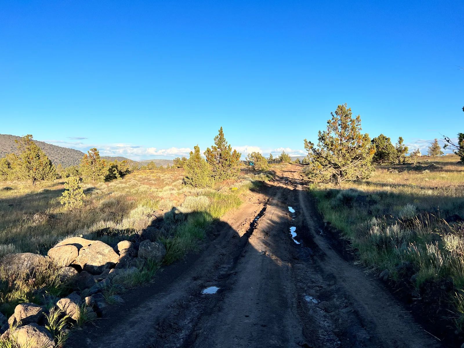 Level Lot with Nice Trees and Views in Siskiyou County, CA