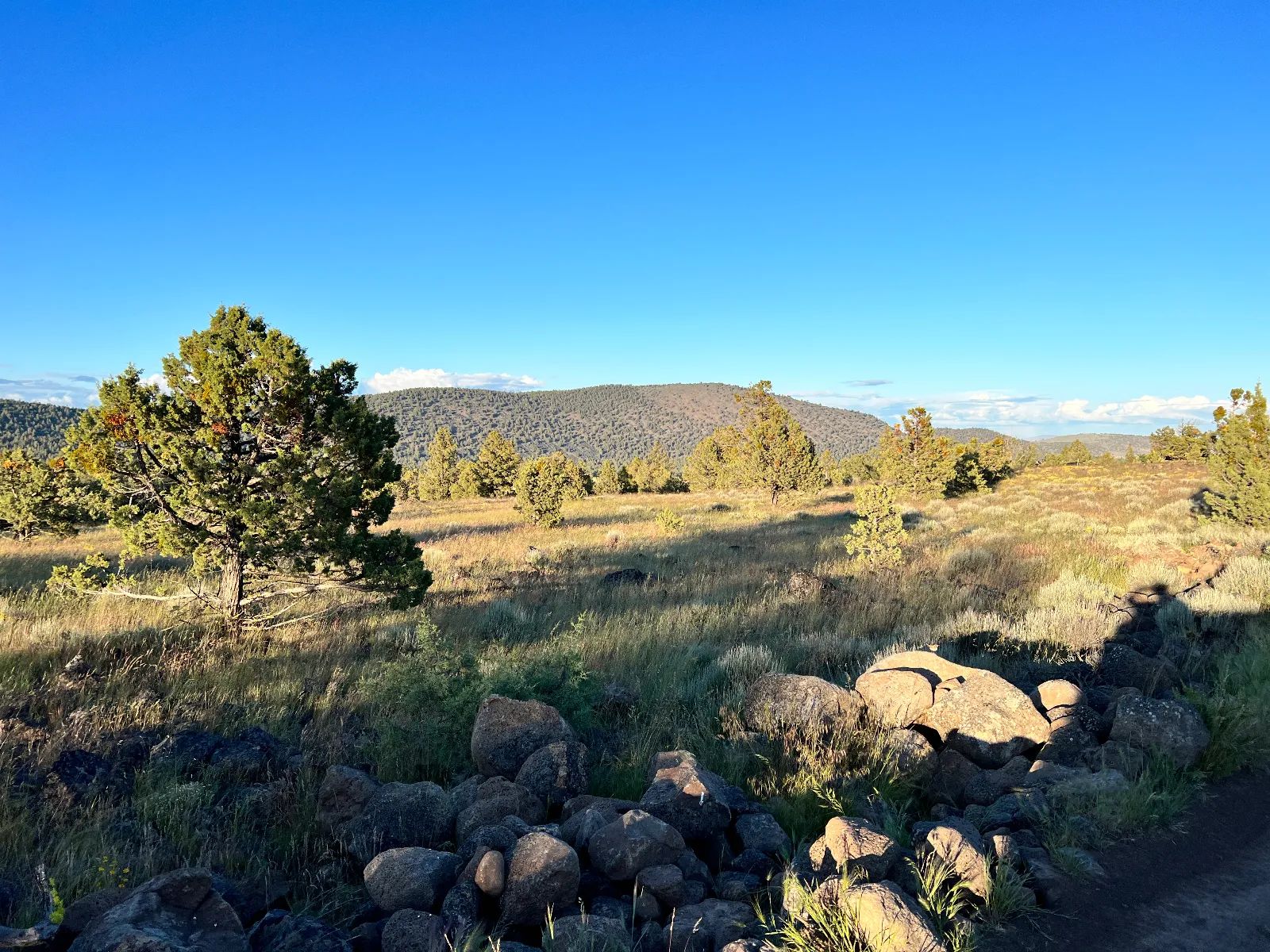 Level Lot with Nice Trees and Views in Siskiyou County, CA