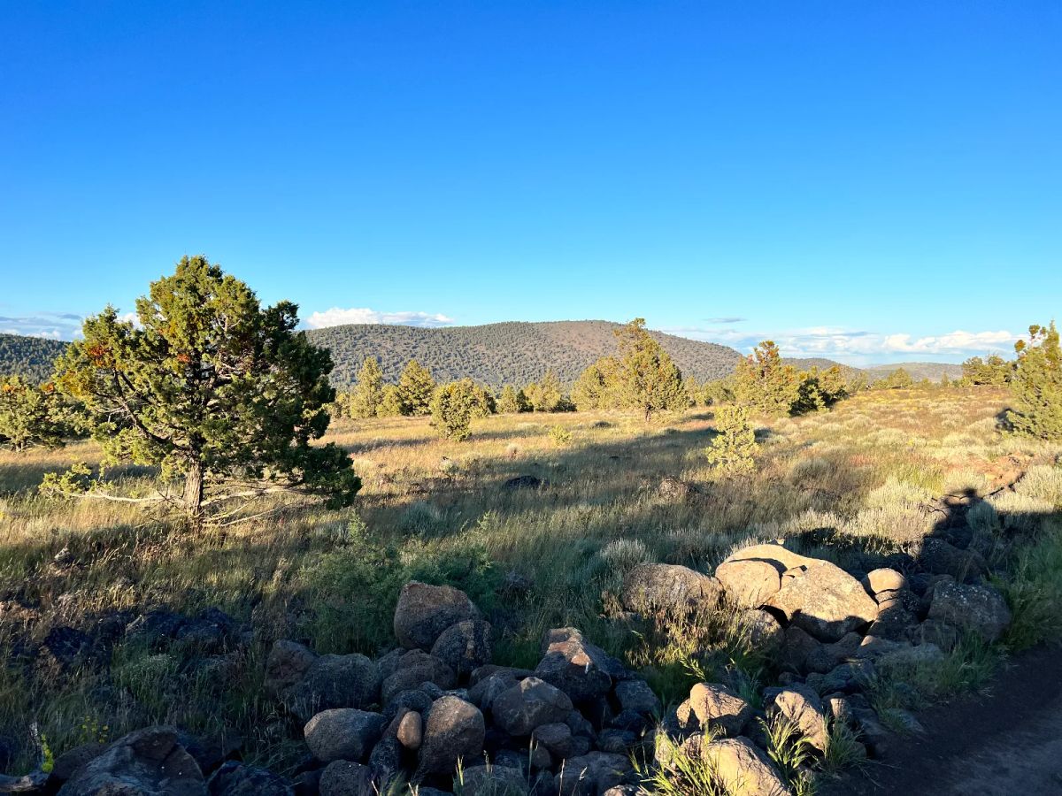Level Lot with Nice Trees and Views - Image 4