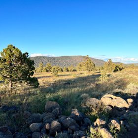 Level Lot with Nice Trees and Views in Siskiyou County, CA