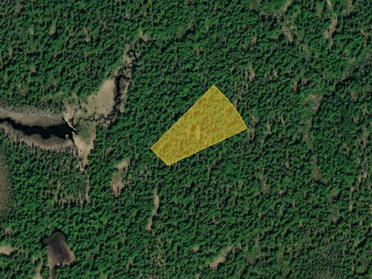 AK Wooded Property near Creek and Lake - Main image