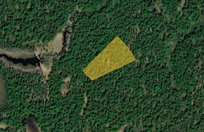 AK Wooded Property near Creek and Lake