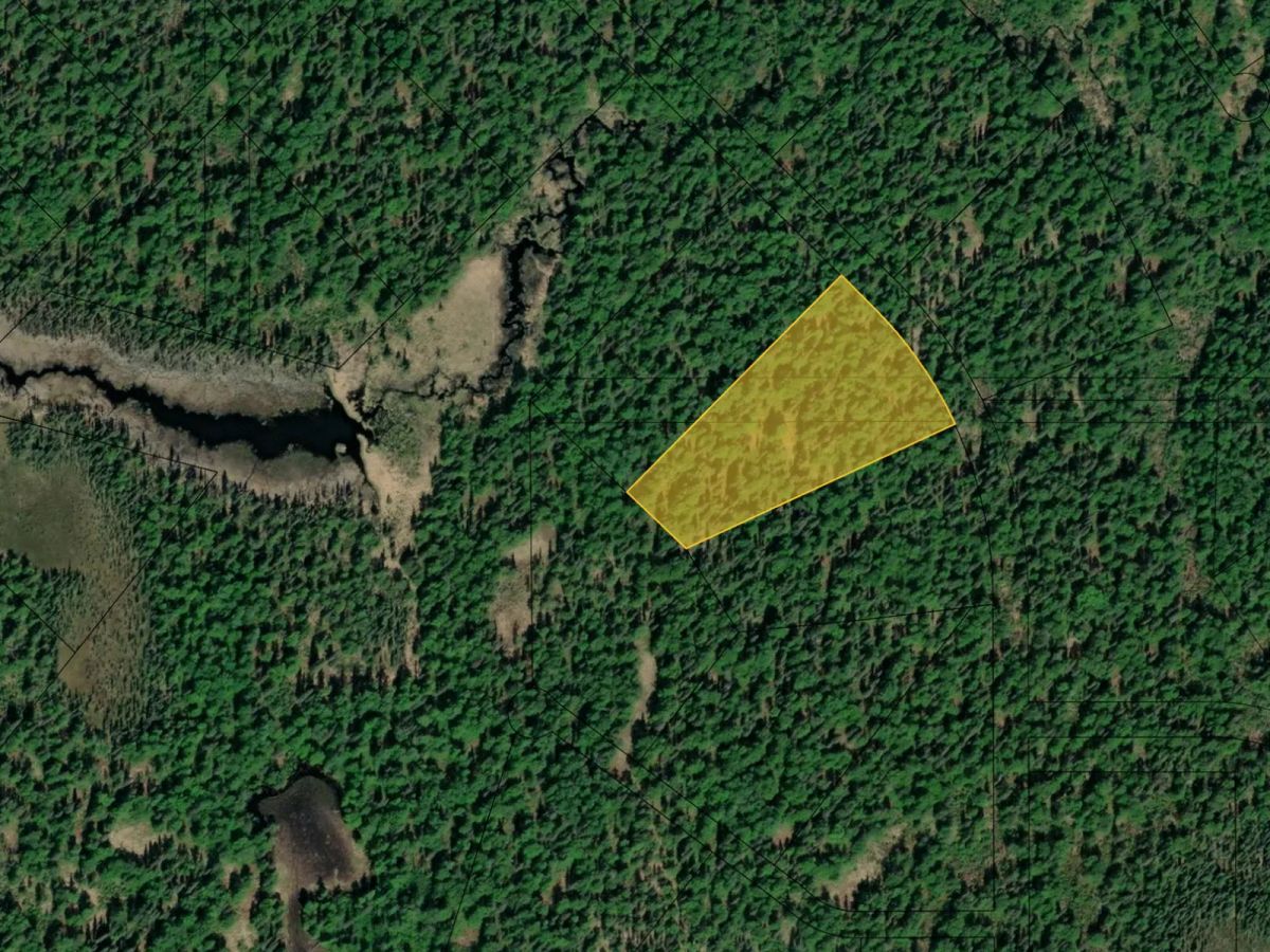 Decorative background for AK Wooded Property near Creek and Lake image 11