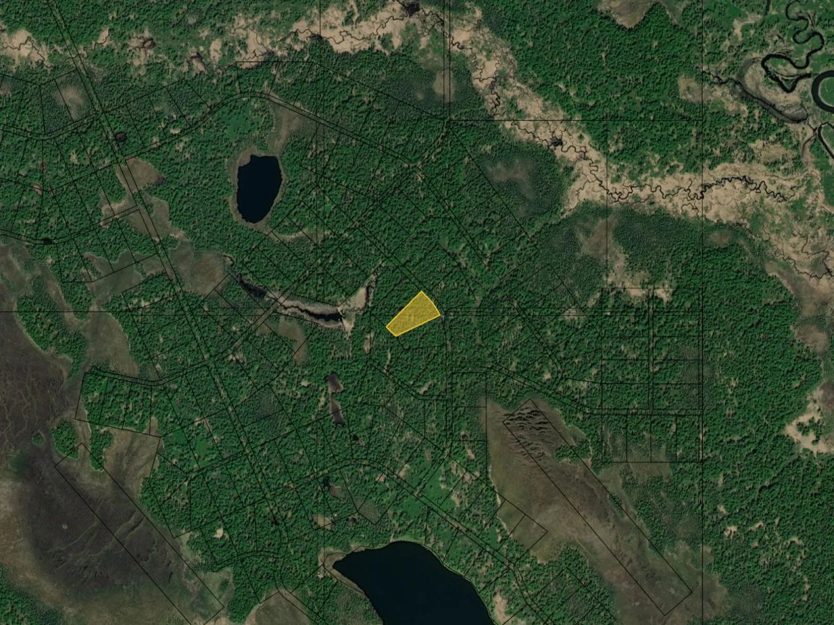 Decorative background for AK Wooded Property near Creek and Lake image 23