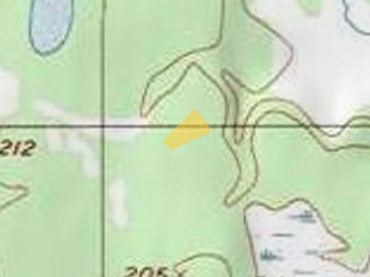 Decorative background for AK Wooded Property near Creek and Lake image 24