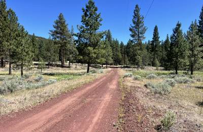 California Land for Sale, 1.01 Acres, near Rush Creek