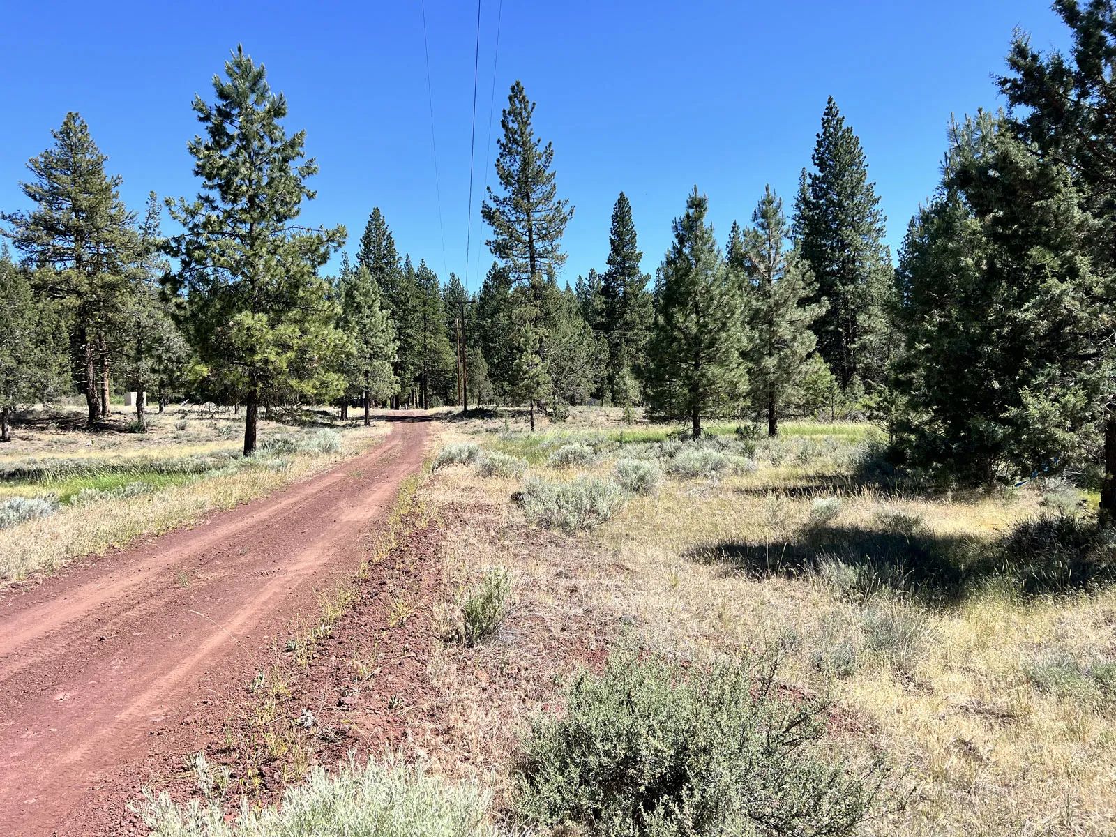California Land for Sale, 1.01 Acres, near Rush Creek in Modoc County, CA