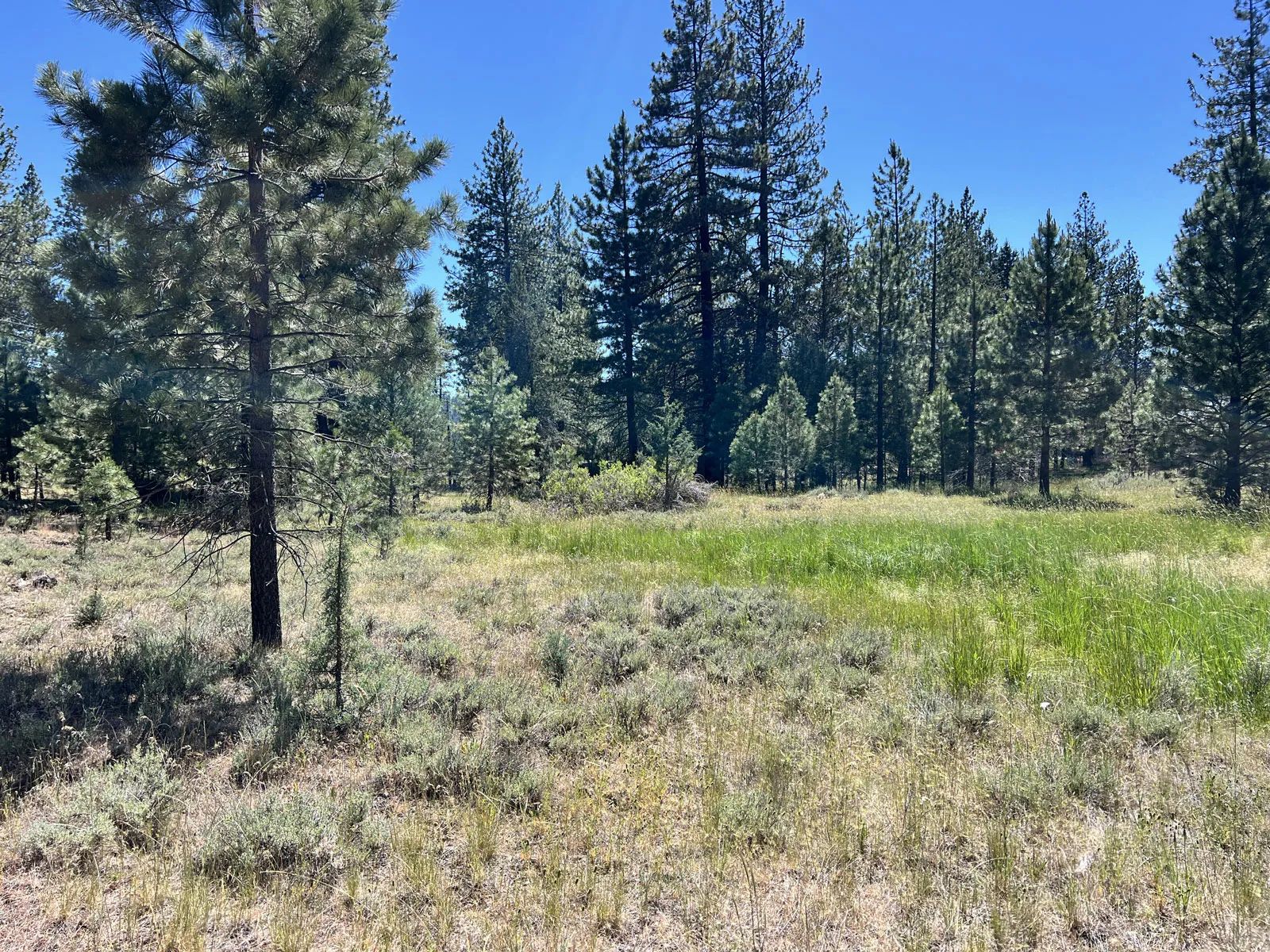California Land for Sale, 1.01 Acres, near Rush Creek in Modoc County, CA