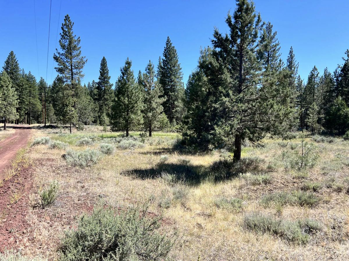 Decorative background for California Land for Sale, 1.01 Acres, near Rush Creek image 5