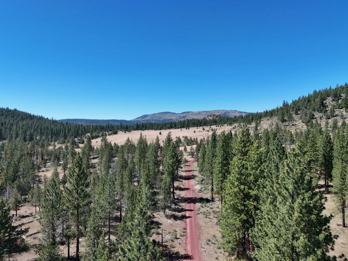 Decorative background for California Land for Sale, 1.01 Acres, near Rush Creek image 6
