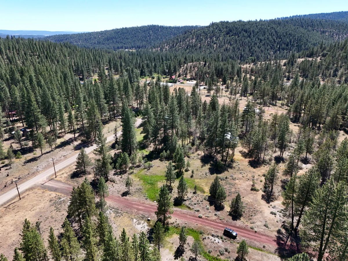 Decorative background for California Land for Sale, 1.01 Acres, near Rush Creek image 7